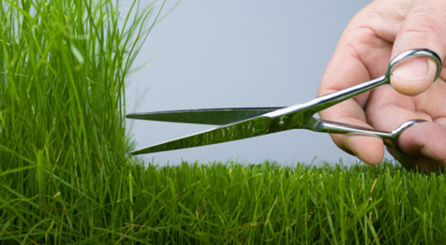 Are You a Perfectionist?